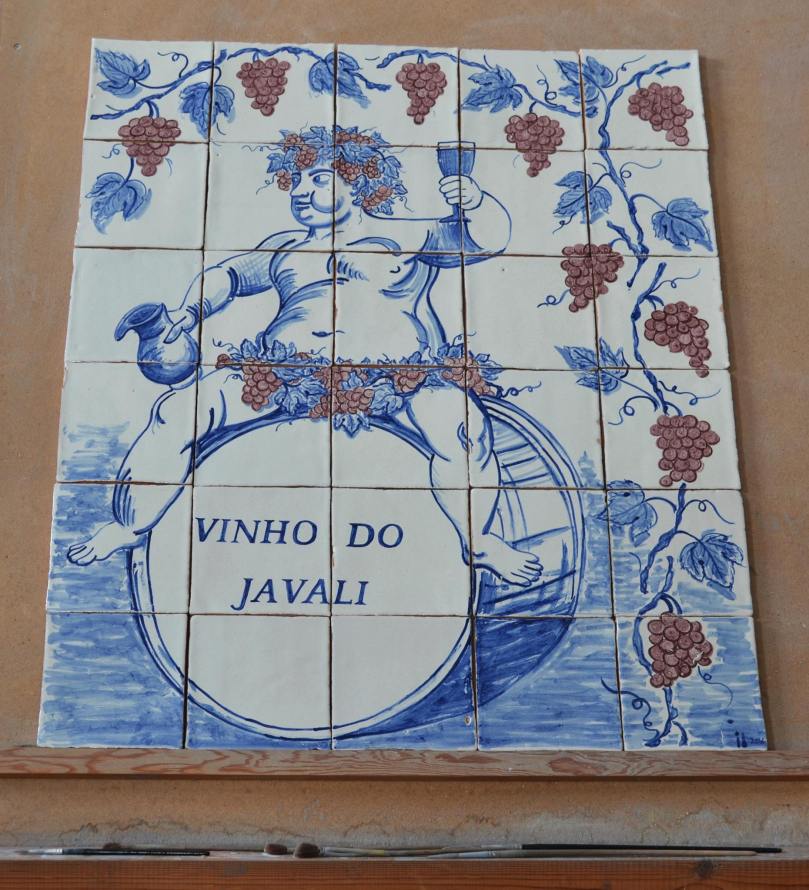 13235002_888910011218799_574547337_o